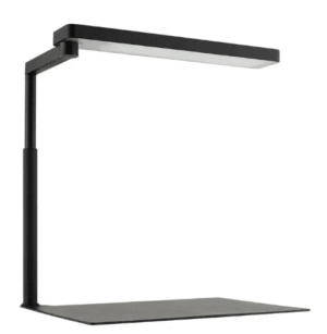 Captura de Pantalla 2025-05-08 a la(s) 23.15.08 CII