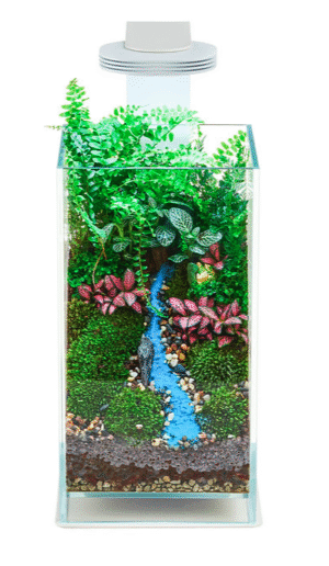 Captura de Pantalla 2025-05-08 a la(s) 23.21.11 WABI KUSA BASE