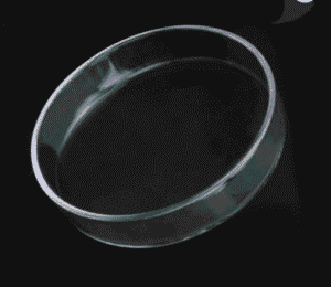 Captura de Pantalla 2025-05-25 a la(s) 23.36.29 (1) Plato de cristal para alimentación