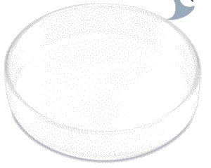 Captura de Pantalla 2025-05-25 a la(s) 23.36.53 (1) Plato de cristal para alimentación