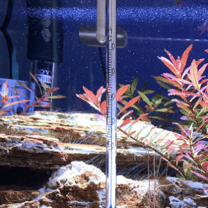 Captura de Pantalla 2025-05-25 a la(s) 23.58.43 Termómetro Colgante de Cristal