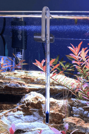 Captura de Pantalla 2025-05-25 a la(s) 23.58.43 Termómetro Colgante de Cristal