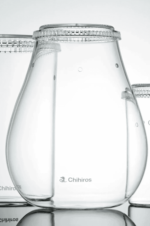 GLASS POT DEW
