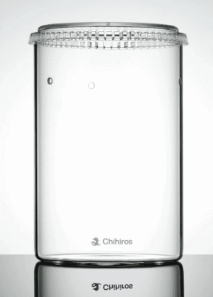 Captura de Pantalla 2025-07-04 a la(s) 0.07.28 GLASS POT DEW