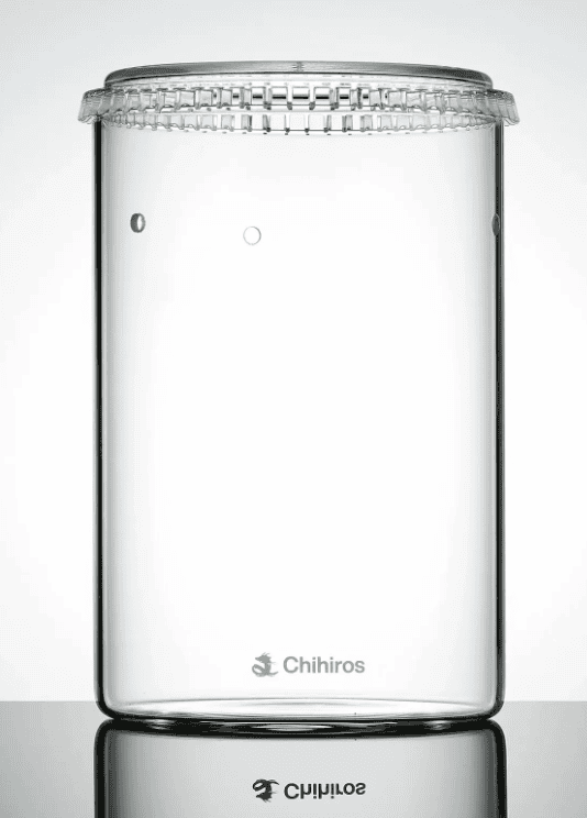 GLASS POT DEW