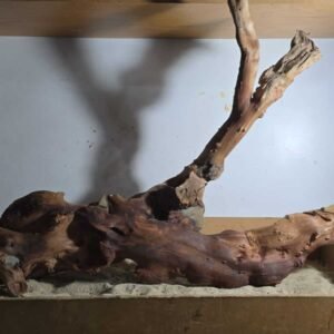 WhatsApp Image 2025-07-25 at 10.42.29 Troncos Sauce de Rio