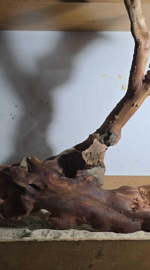 WhatsApp Image 2025-07-25 at 10.42.29 Troncos Sauce de Rio