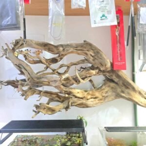 WhatsApp Image 2025-07-25 at 10.42.30 (1) Troncos Sauce de Rio