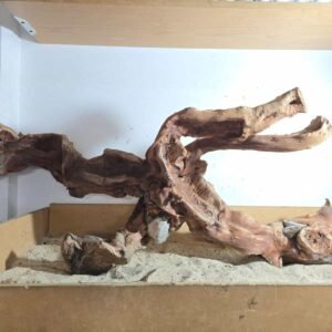 WhatsApp Image 2025-07-25 at 10.42.30 Troncos Sauce de Rio